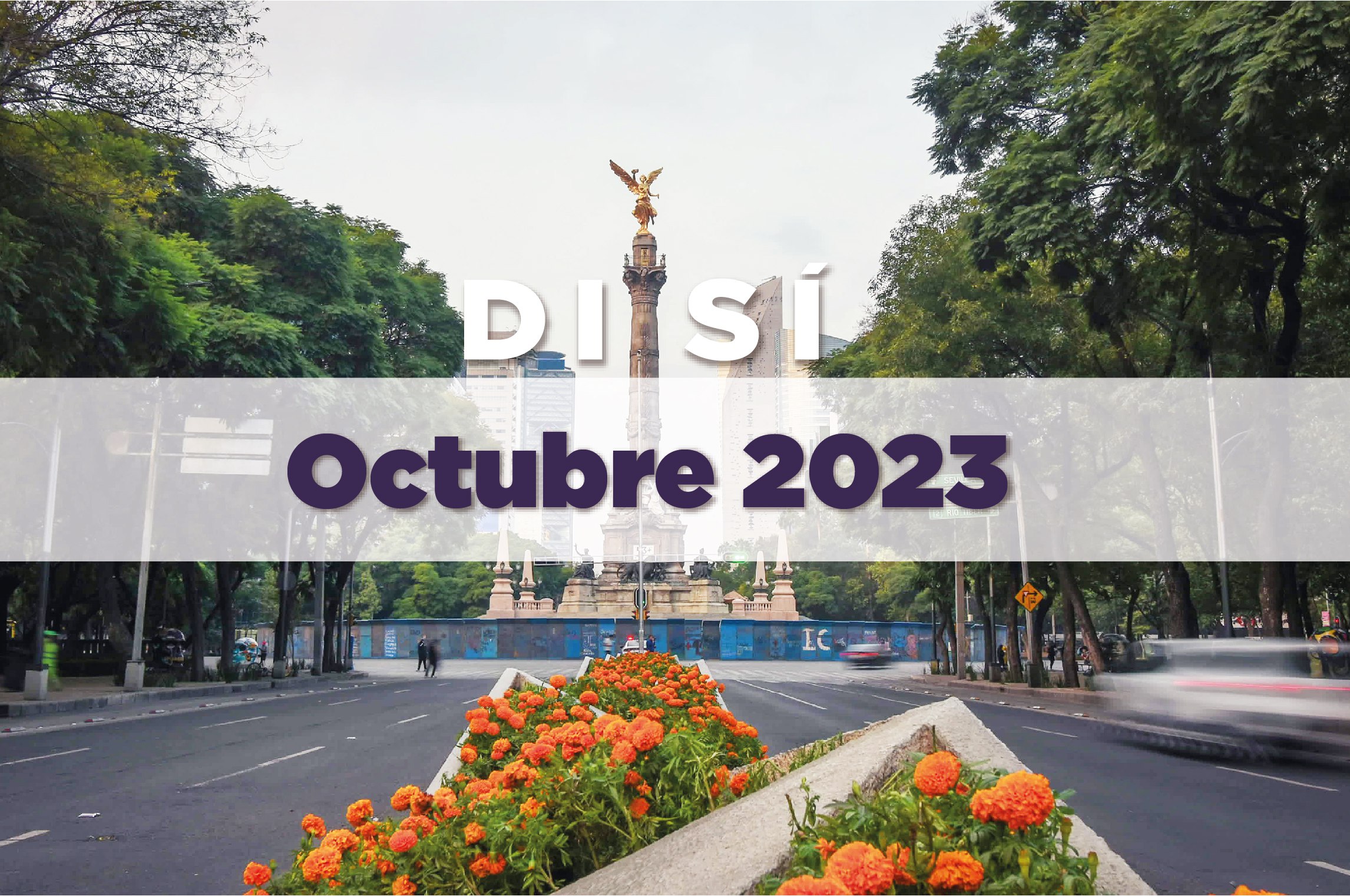 Descripción corta imagen