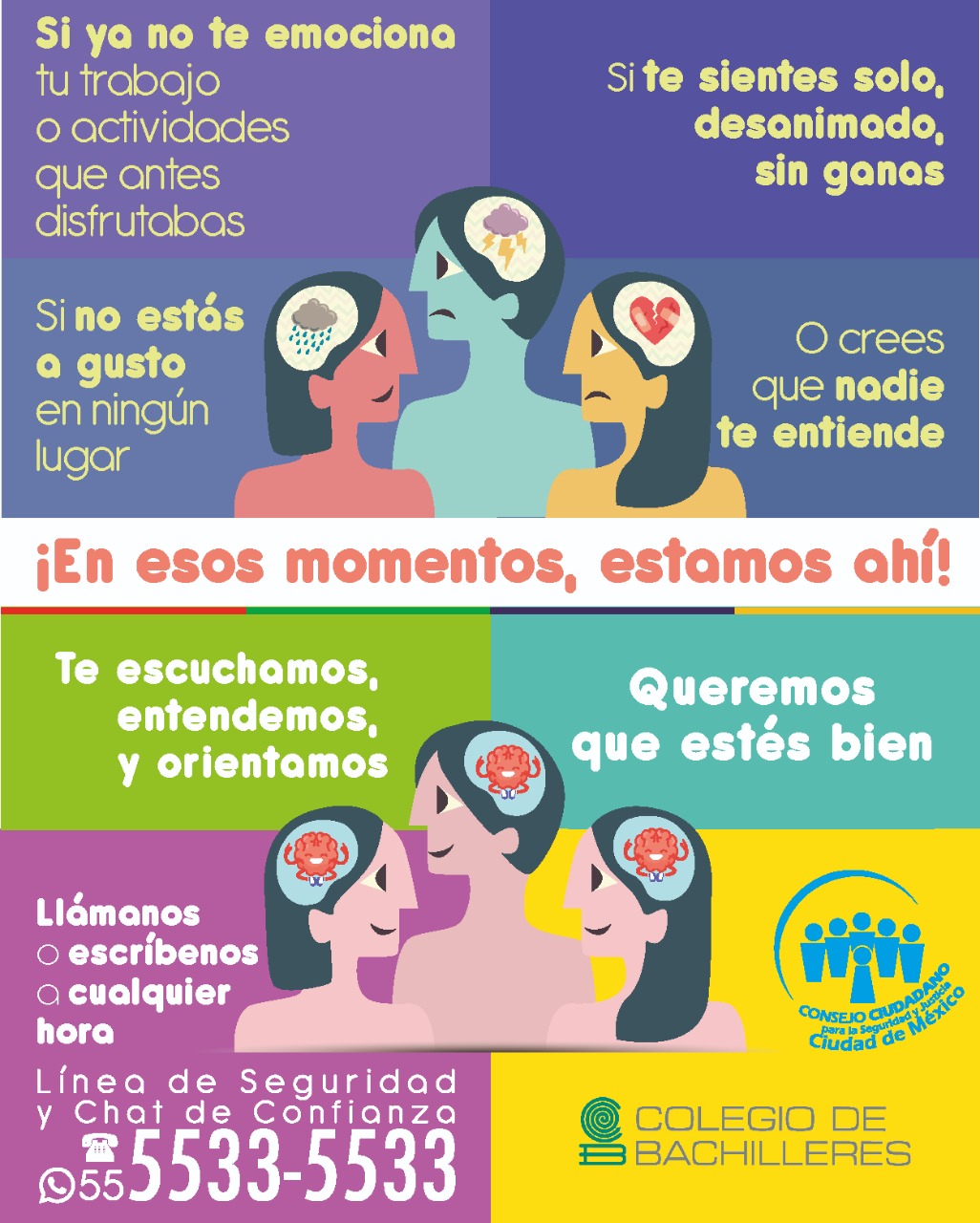 Descripción corta imagen